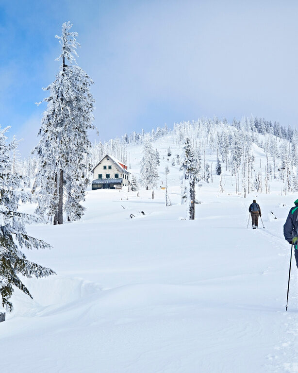 Schneeschuhwanderer durschreiten die Winterland des Bayerischen Waldes.