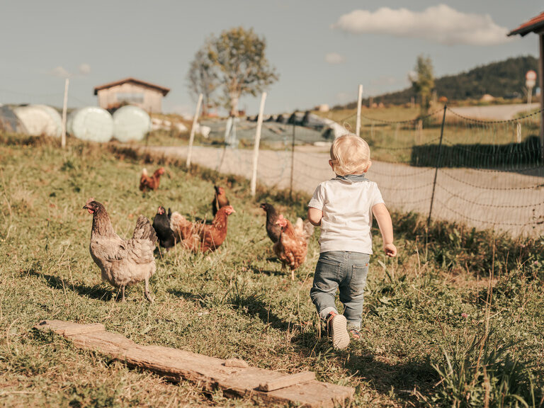 Ein fröhliches Kind bewegt sich lachend durch den Hühnerstall und beobachtet die Tiere des Familienbauernhofs Süßhof.